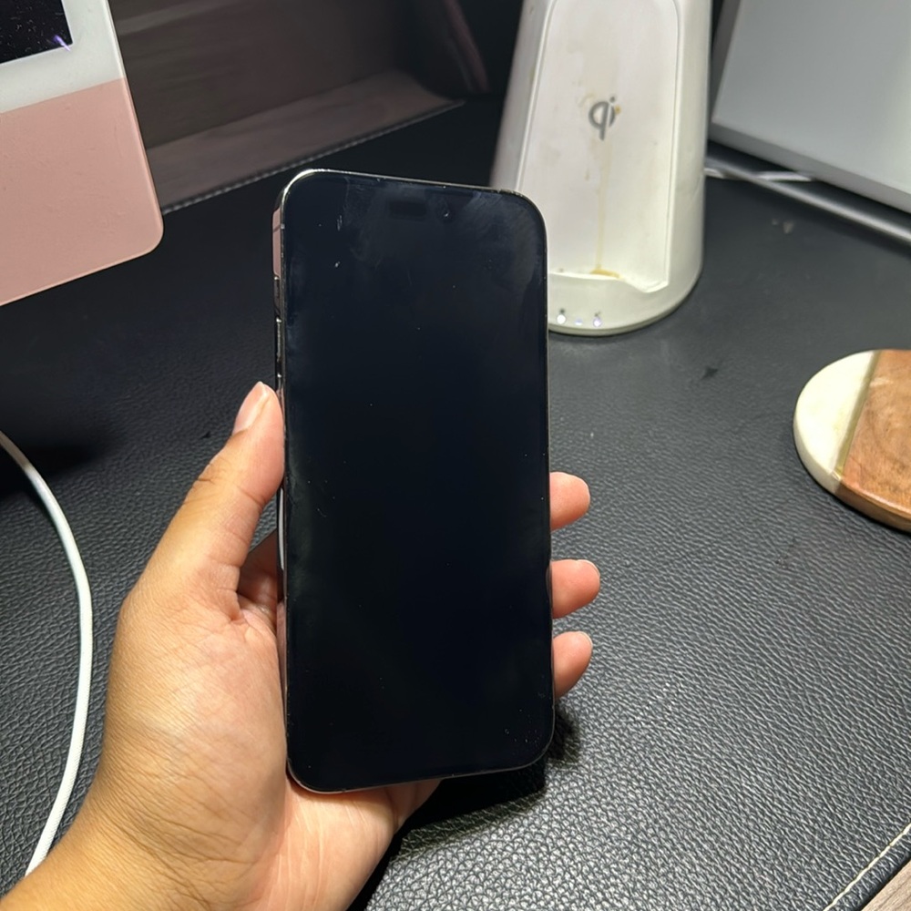 iPhone 14 Pro Max
